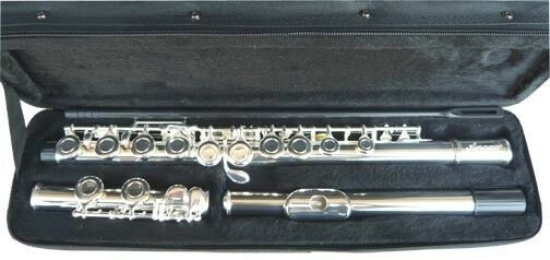 Brand New  Silver Band C Flute W/case.approved+ Warranty.